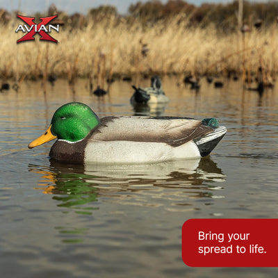 Avian X Power Swimmer Mallard Drake Motion Duck Decoy w/ Battery (Open Box)