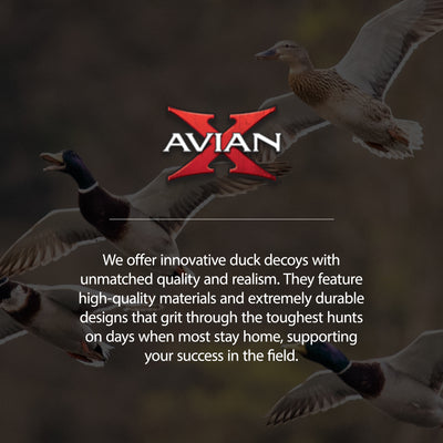 Avian X Power Swimmer Mallard Drake Motion Duck Decoy w/ 10+ Hour Battery (Used)