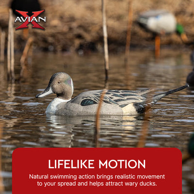 Avian X Power Swimmer Pintail Drake Motion Duck Decoy with 10+ Hour Battery
