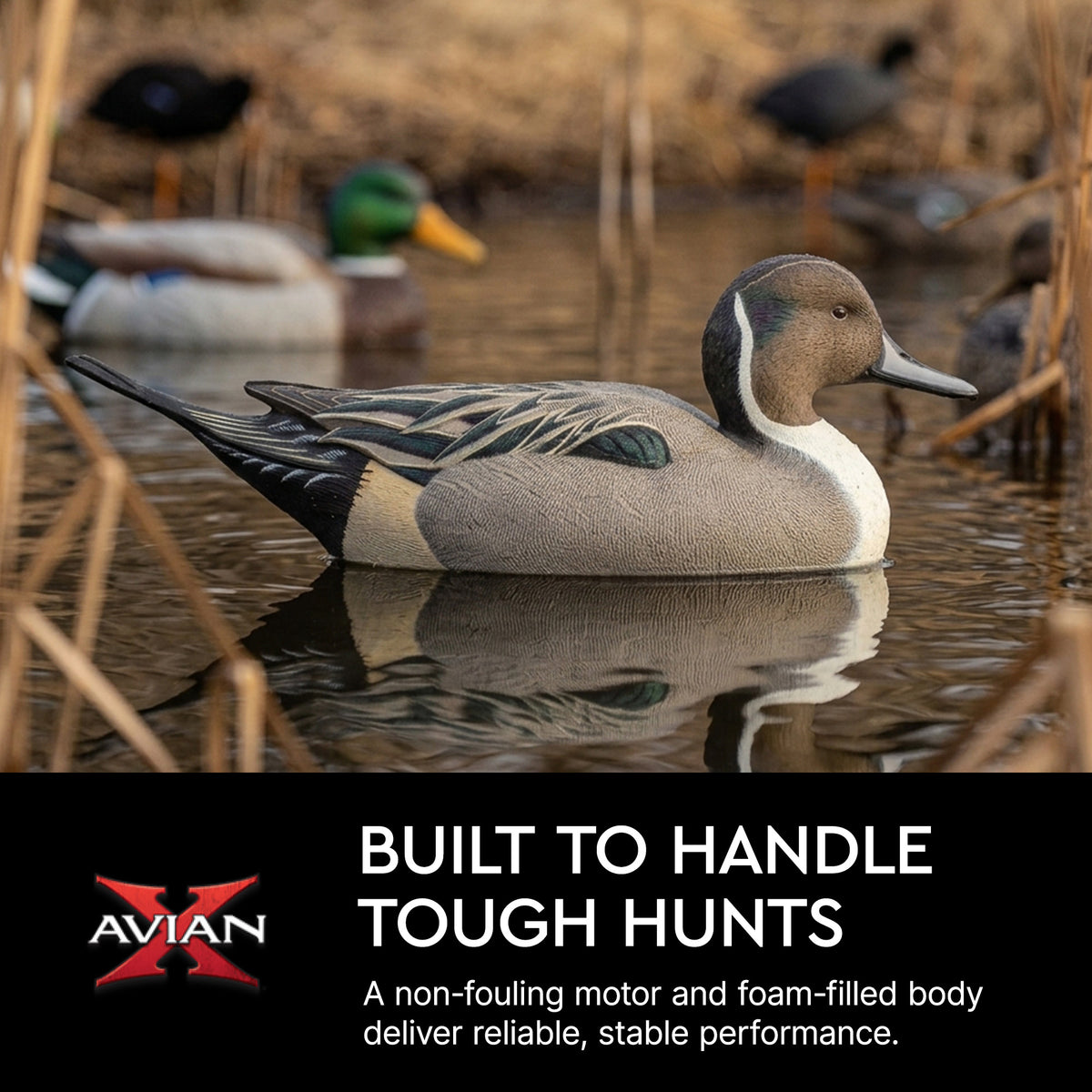 Avian X Power Swimmer Pintail Drake Motion Duck Decoy with 10+ Hour Battery