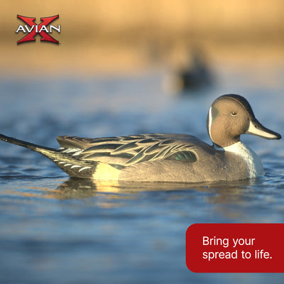 Avian X Power Swimmer Pintail Drake Motion Duck Decoy with 10+ Hour Battery