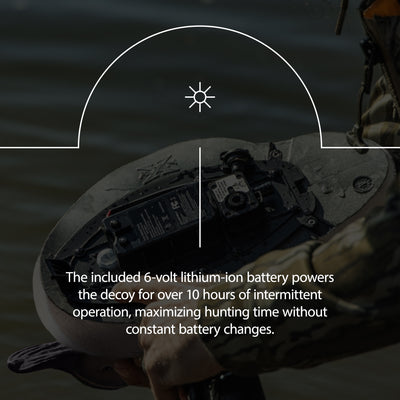 Avian X Power Swimmer Pintail Drake Motion Duck Decoy with 10+ Hour Battery - VMInnovations