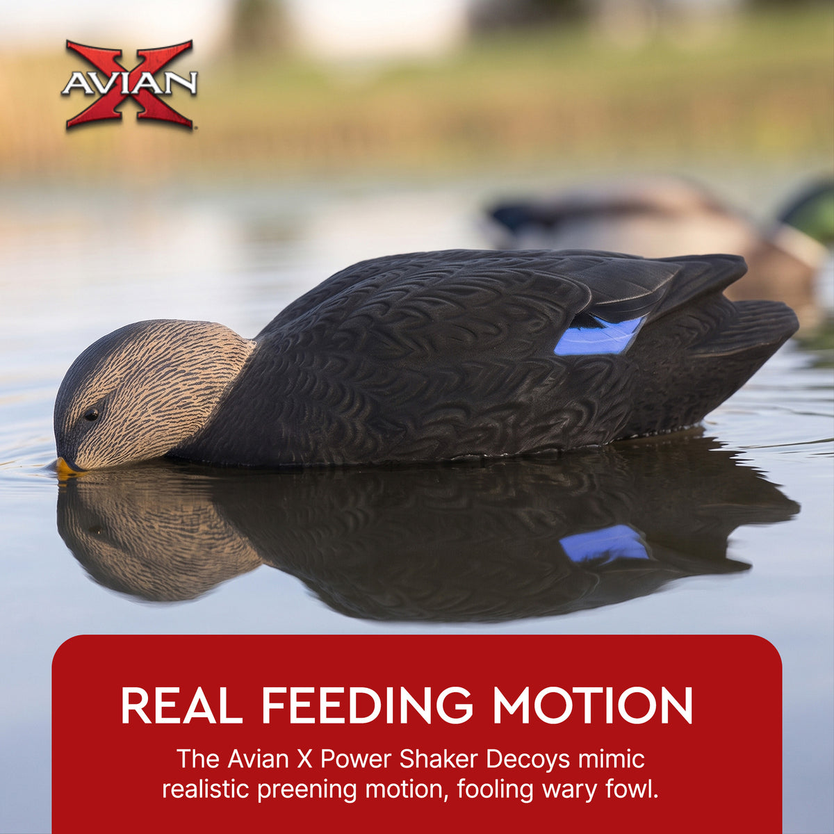 Avian-X Power Shaker Black Duck Motion Hunting Decoy Floating Surface Feeder