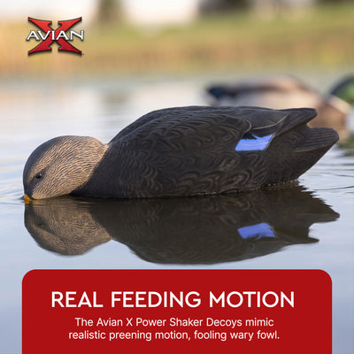 Avian-X Power Shaker Black Duck Motion Hunting Decoy Floating Surface Feeder