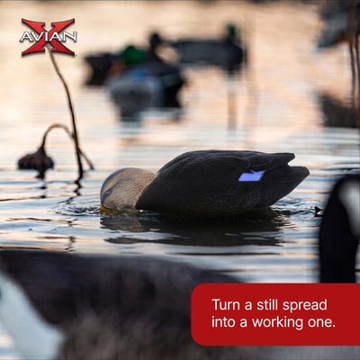 Avian-X Power Shaker Black Duck Motion Hunting Decoy Floating Surface Feeder
