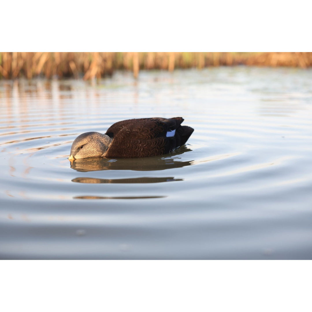 Avian-X Power Shaker Black Duck Motion Hunting Decoy Floating Surface Feeder