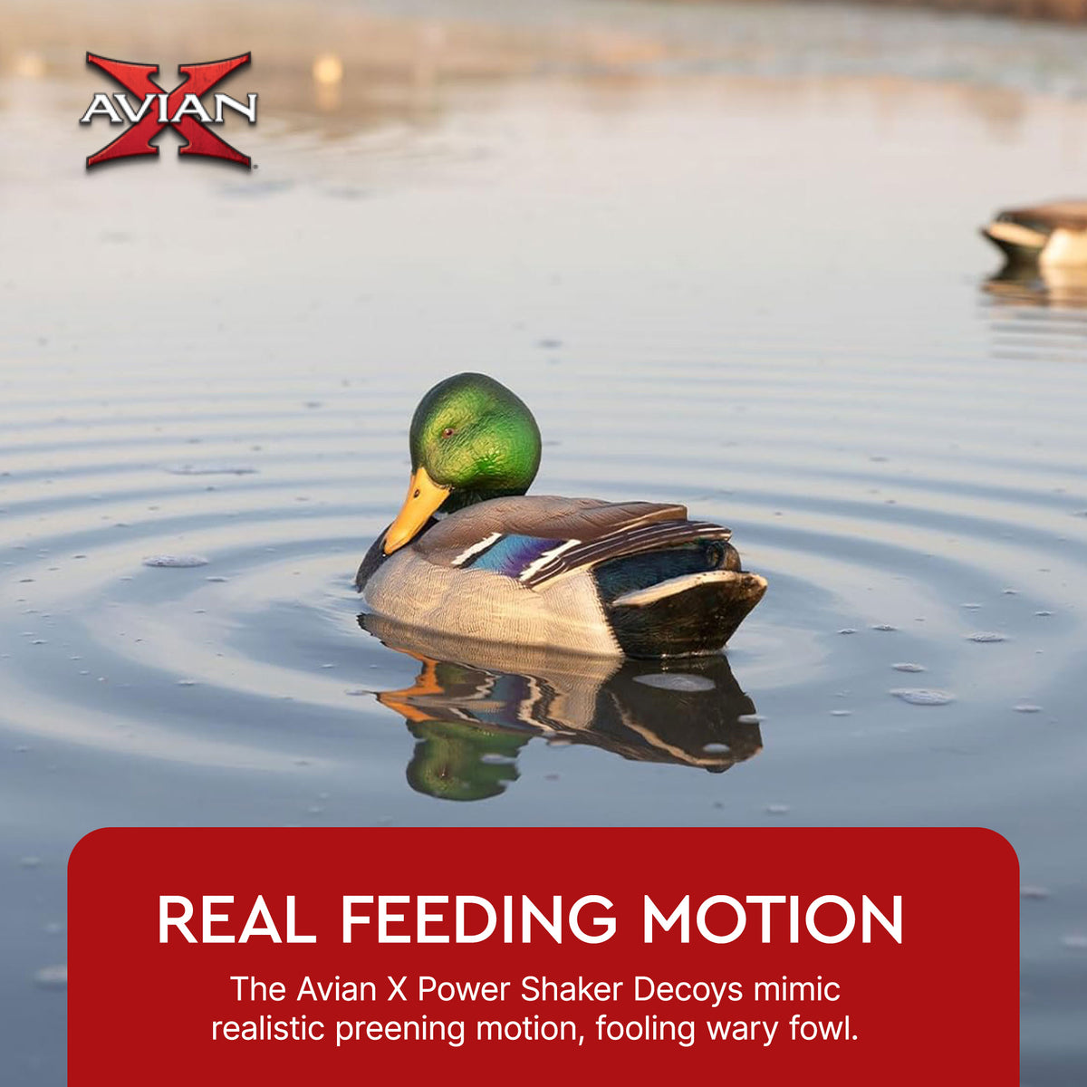 Avian-X Power Shaker Mallard Drake Motion Duck Decoy Floating Surface Preener - VMInnovations