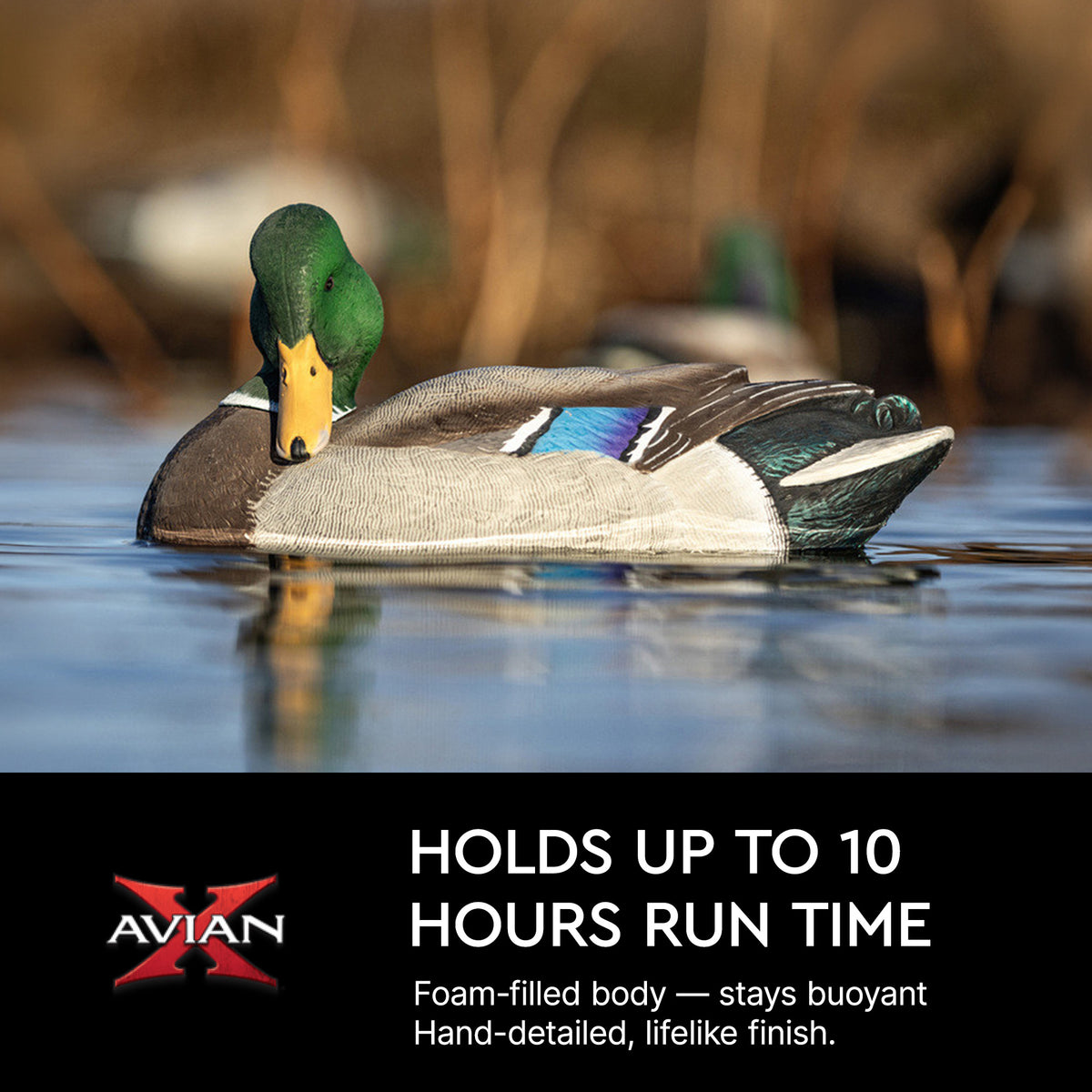 Avian-X Power Shaker Mallard Drake Motion Duck Decoy Floating Surface Preener - VMInnovations