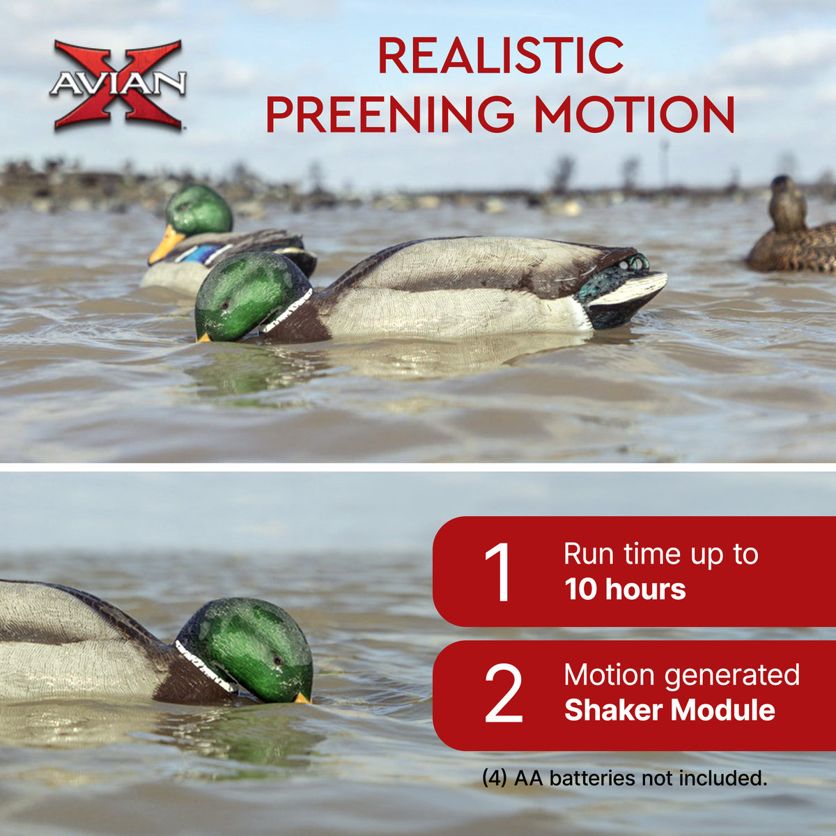 Avian-X Power Shaker Mallard Drake Motion Duck Decoy Floating Surface Feeder
