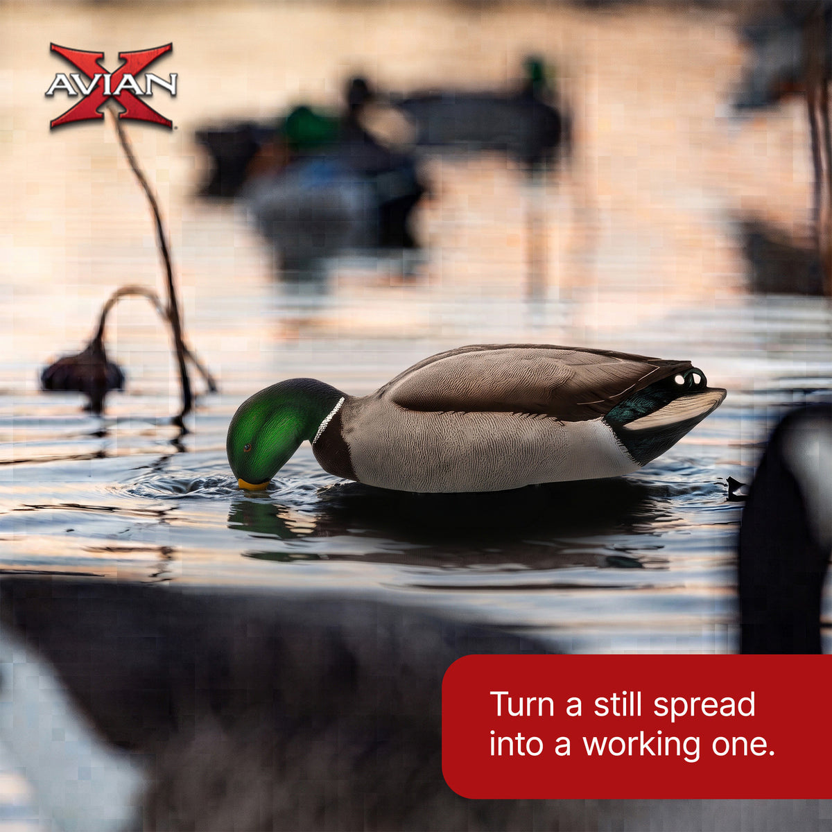Avian-X Power Shaker Mallard Drake Motion Duck Decoy Floating Surface Feeder