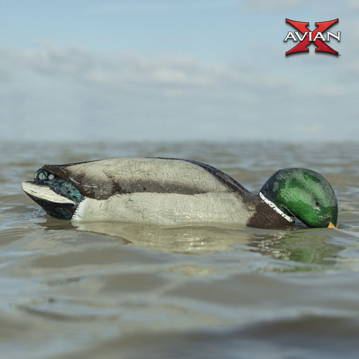 Avian-X Power Shaker Black Duck Motion Hunting Decoy Floating Surface Feeder