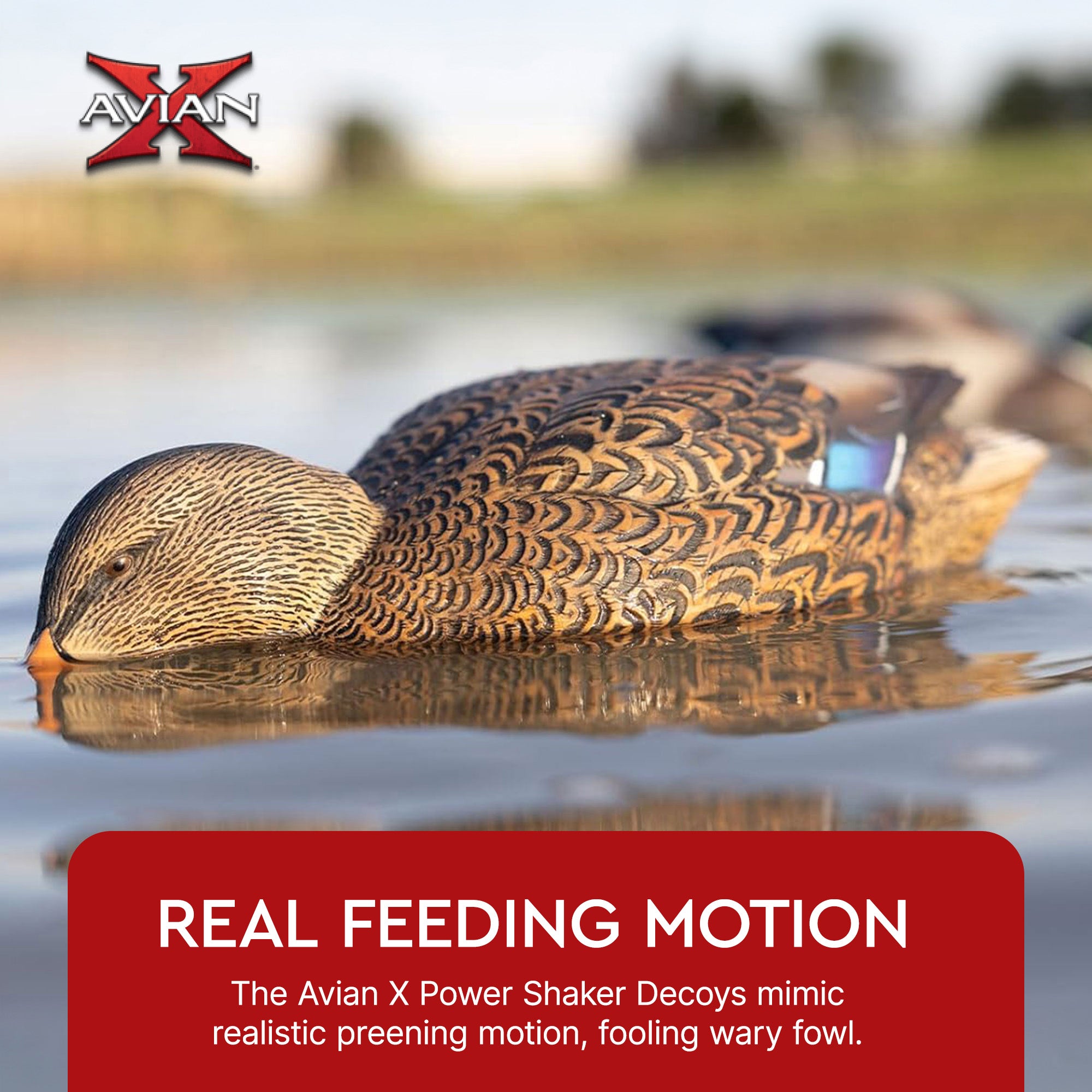 Avian-X Power Shaker Mallard Hen Motion Duck Decoy Floating Surface Feeder