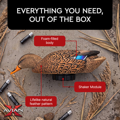 Avian-X Power Shaker Mallard Hen Motion Duck Decoy Floating Surface Feeder