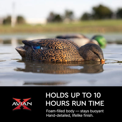 Avian-X Power Shaker Mallard Hen Motion Duck Decoy Floating Surface Feeder