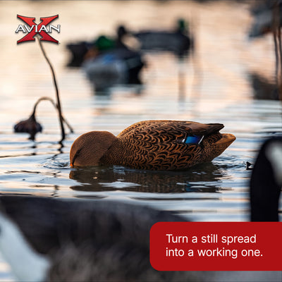 Avian-X Power Shaker Mallard Hen Motion Duck Decoy Floating Surface Feeder
