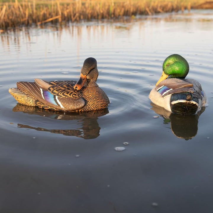 Avian X PowerFlight Mallard Spinning Decoy & Power Shaker Hen Preener Decoy - VMInnovations