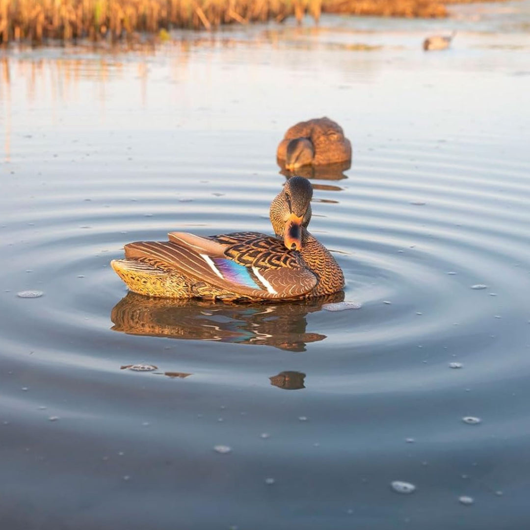 Avian X Power Shaker Motion Mallard Hen Preener Decoy, Mimic Realistic Motion