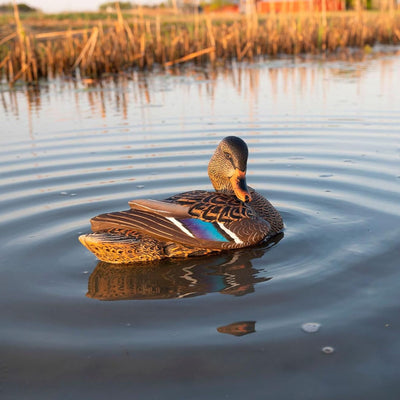 Avian X PowerFlight Mallard Spinning Decoy & Power Shaker Hen Preener Decoy