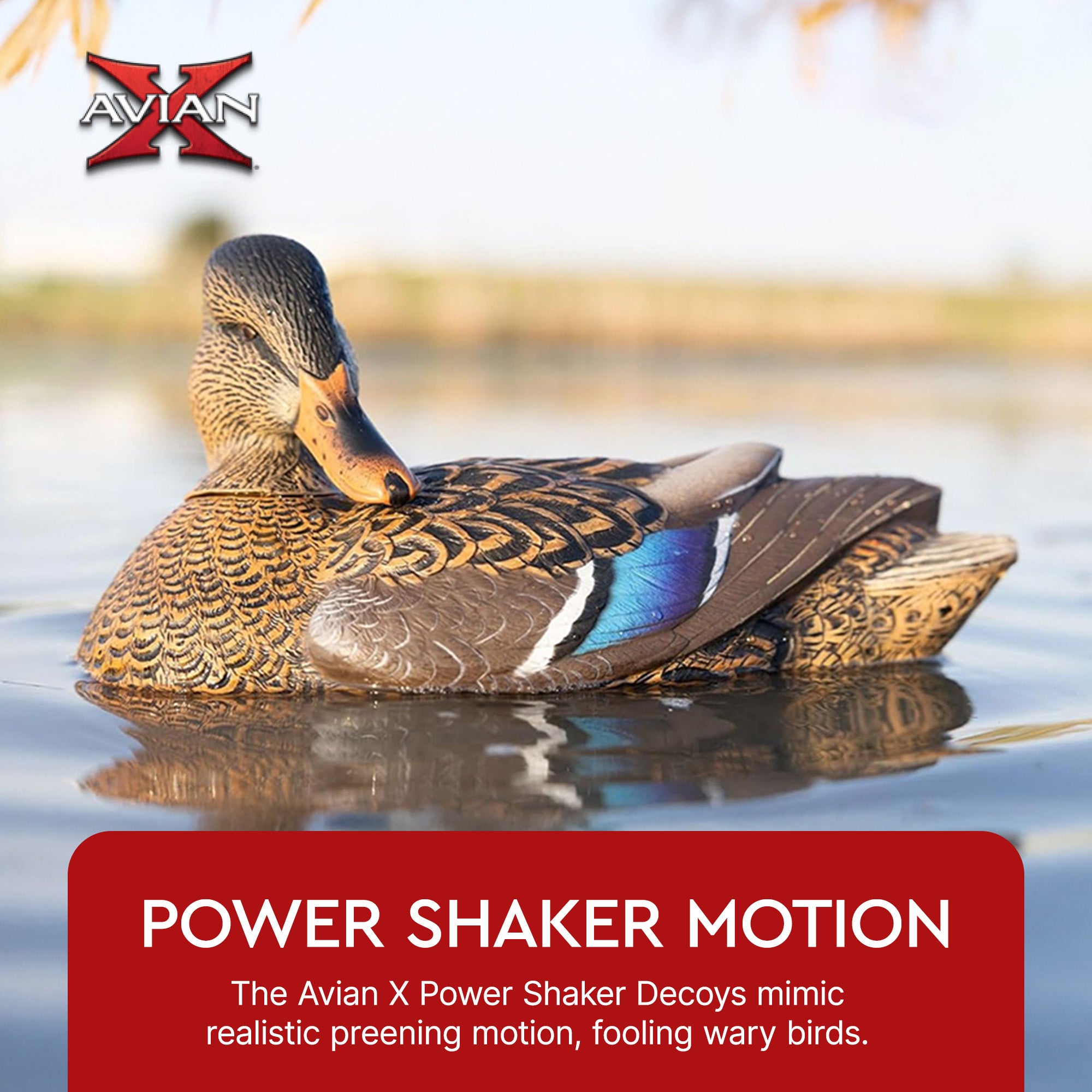 Avian X Power Shaker Motion Mallard Hen Preener Decoy, Mimic Realistic Motion