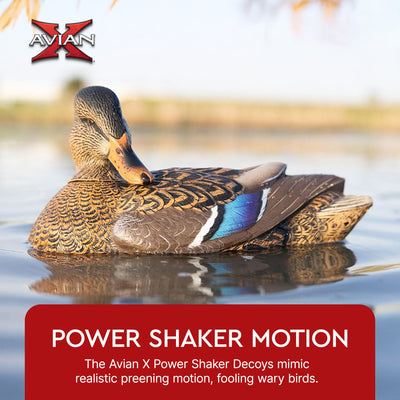 Avian X Power Shaker Motion Mallard Hen Preener Decoy, Mimic Realistic Motion