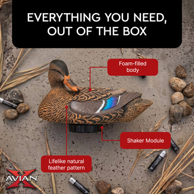 Avian X Power Shaker Motion Mallard Hen Preener Decoy, Mimic Realistic Motion