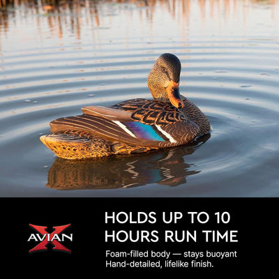 Avian X Power Shaker Motion Mallard Hen Preener Decoy, Mimic Realistic Motion