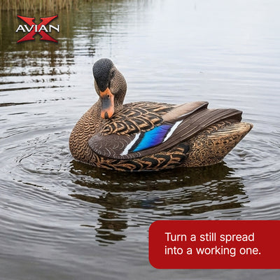 Avian X Power Shaker Motion Mallard Hen Preener Decoy, Mimic Realistic Motion