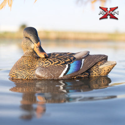 Avian X PowerFlight Mallard Decoy & Power Shaker Hen Preener & PowerFlight Hen - VMInnovations