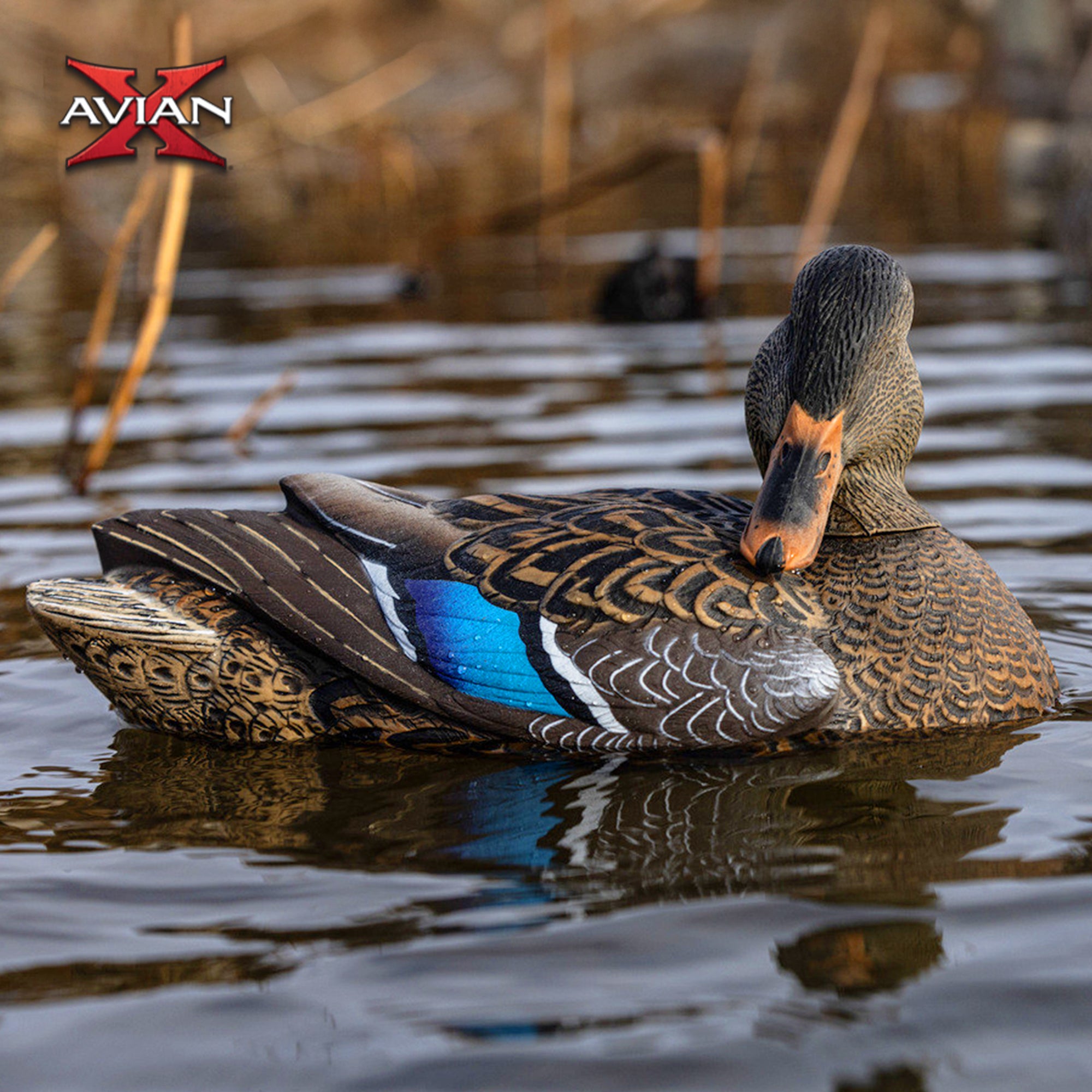 Avian X PowerFlight Mallard Decoy & Power Shaker Hen Preener & PowerFlight Hen - VMInnovations