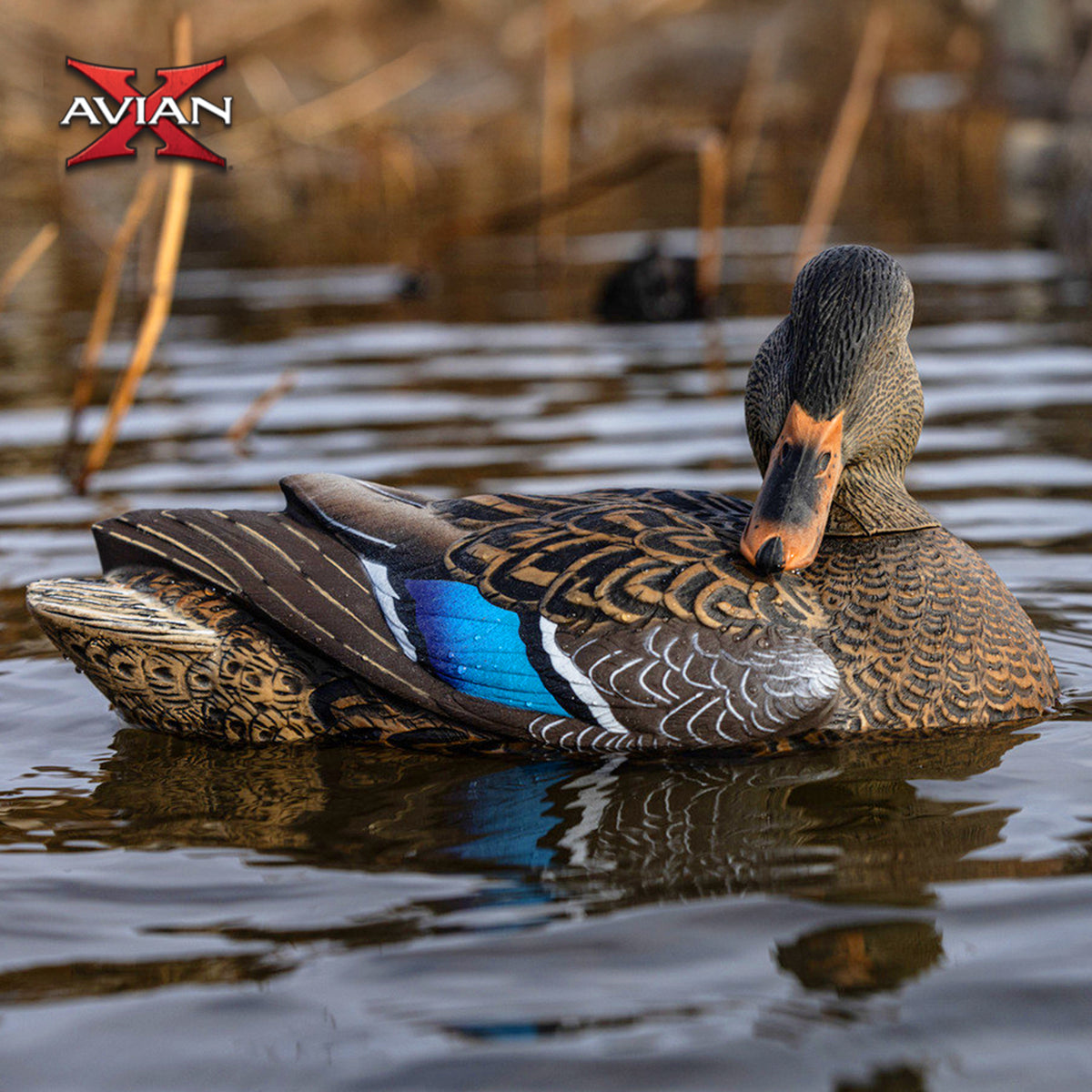 Avian X Power Shaker Motion Mallard Hen Decoy, Realistic Motion (Open Box)