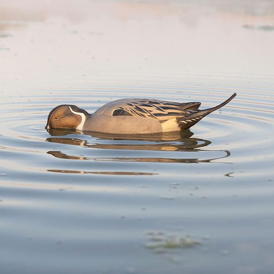 Avian-X Power Shaker Pintail Motion Duck Decoy Floating Surface Feeder, Brown