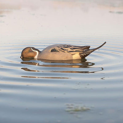 Avian-X Power Pintail Motion Duck Decoy Floating Surface Feeder (Open Box) - VMInnovations