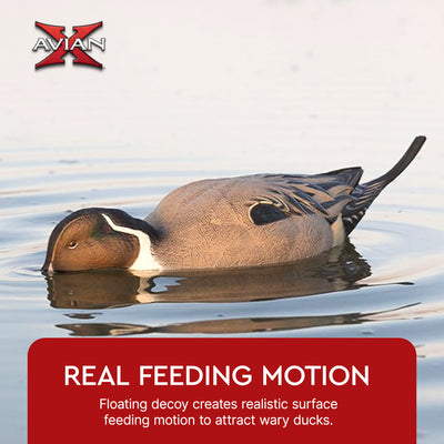 Avian-X Power Shaker Pintail Motion Duck Decoy Floating Surface Feeder, Brown
