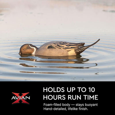 Avian-X Power Shaker Pintail Motion Duck Decoy Floating Surface Feeder, Brown