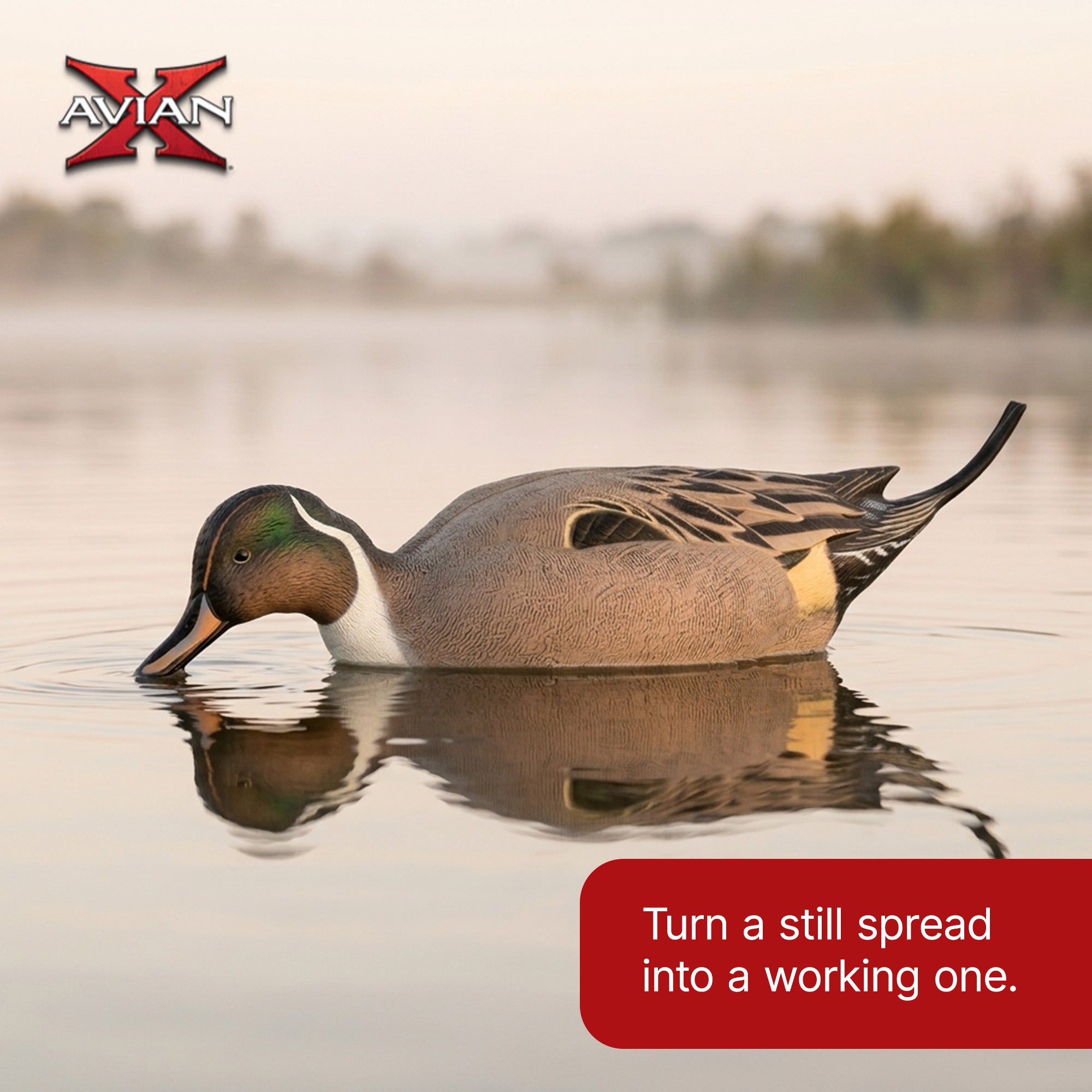 Avian-X Power Shaker Pintail Motion Duck Decoy Floating Surface Feeder, Brown