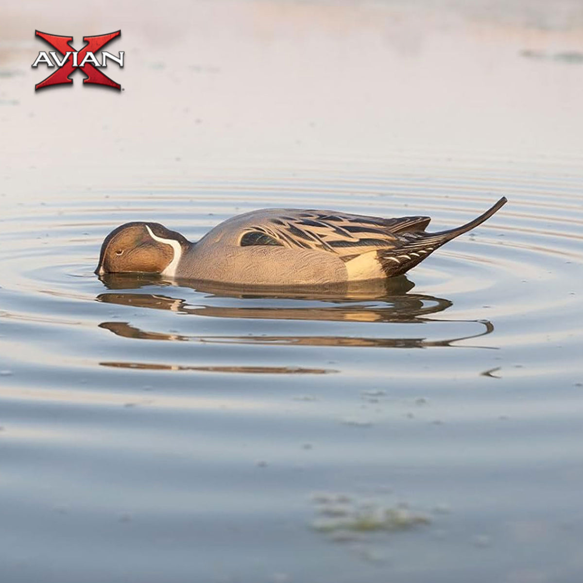 Avian-X Power Pintail Motion Duck Decoy Floating Surface Feeder (Open Box) - VMInnovations