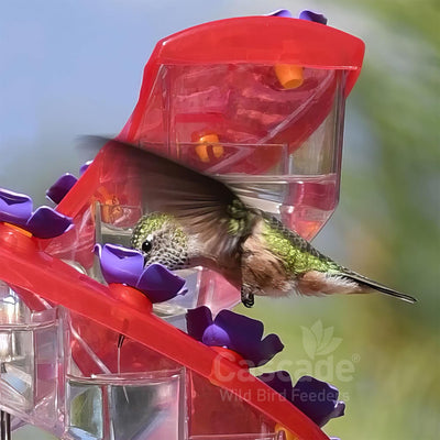 Cascade Wild Bird Feeders Hummingbird Feeder, 32 Port Helical Design (For Parts) - VMInnovations