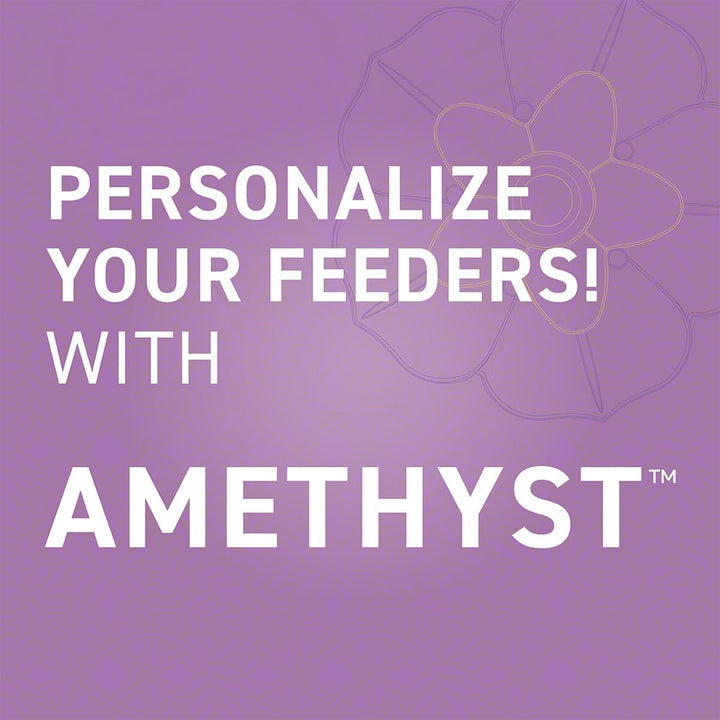 Cascade Wild Bird Feeders Hummingbird Feeder, 32 Port Helical Design (Open Box)