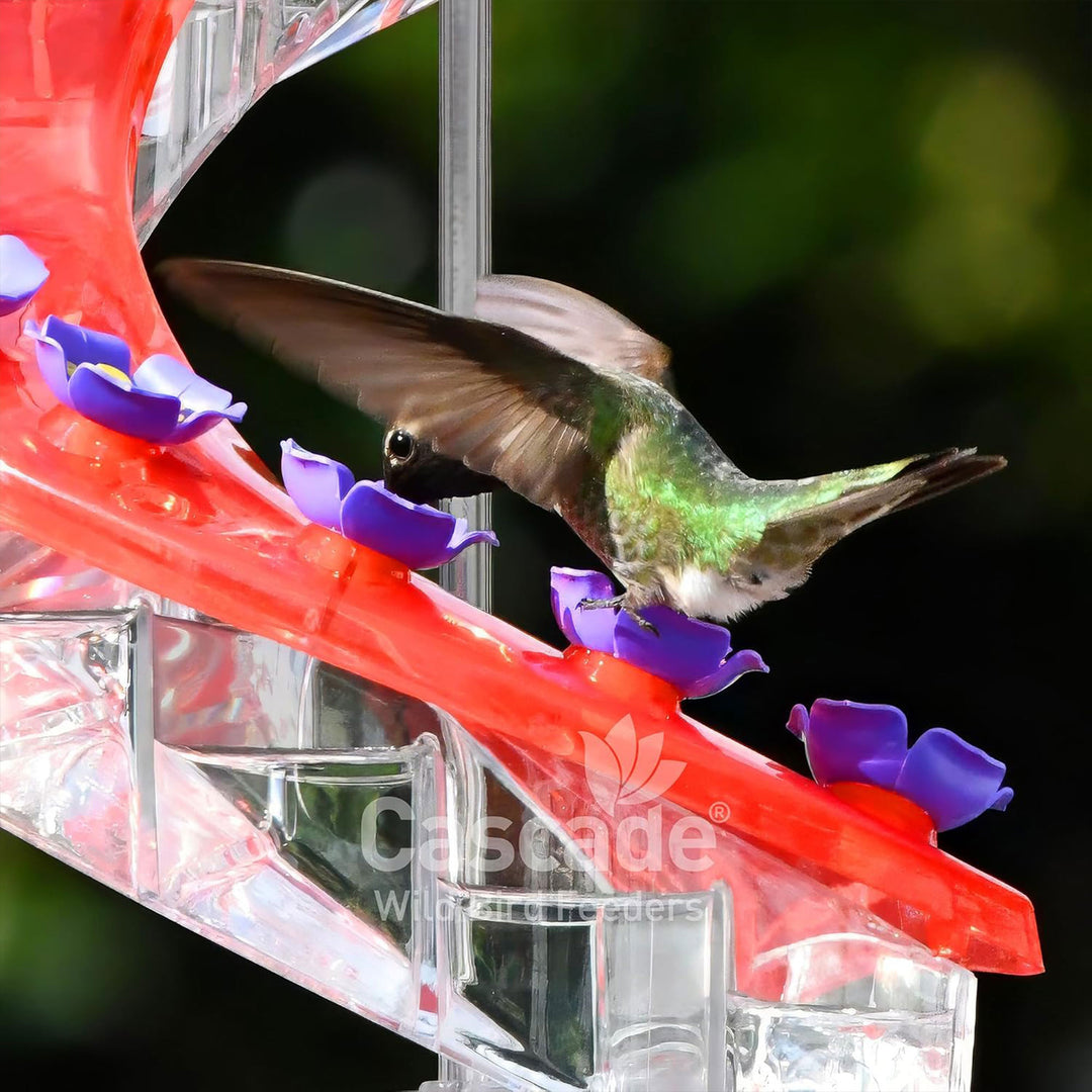 Cascade Wild Bird Feeders Hummingbird Feeder, 16 Port Helical Design (Open Box)