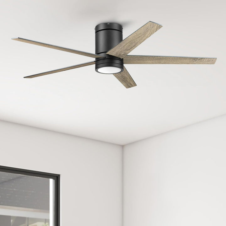 Honeywell Graceshire 52” Ceiling Fan with LED Light and Remote, Matte Black