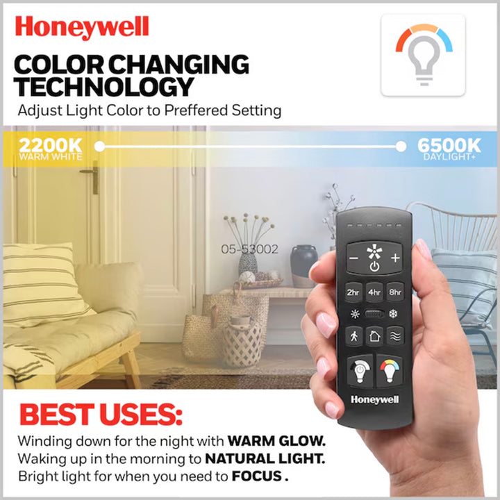 Honeywell 62" Kildee Ceiling Fan LED Remote 8 Blade Outdoor Dual Mount, Black