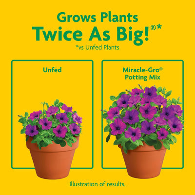 Polymer Outdoor Products Raised Garden Bed with 3 Pack Miracle-Gro Potting Mix