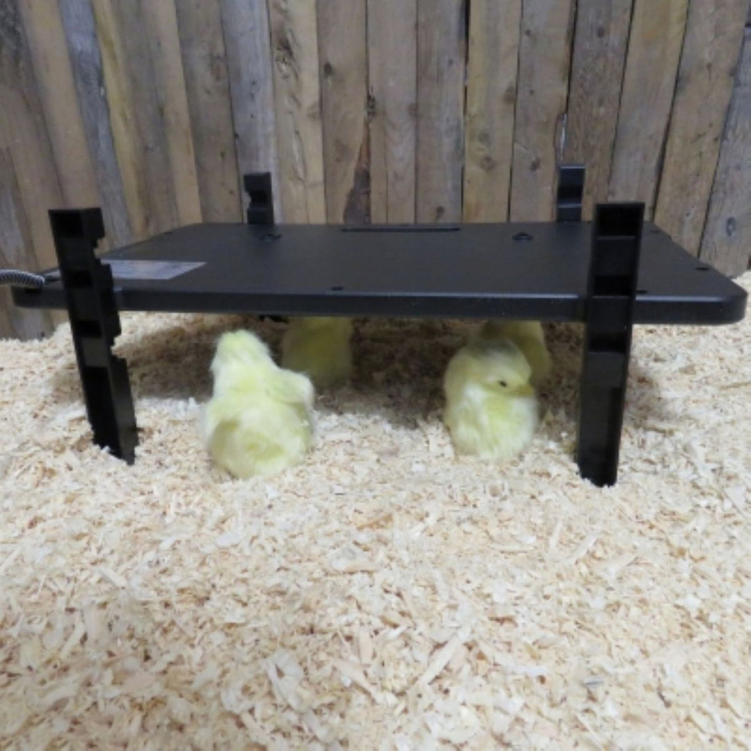 Farm Innovators 2-in-1 Radiant Coop Heater 200W & 50W Brooder Panel, 3 Pack - VMInnovations