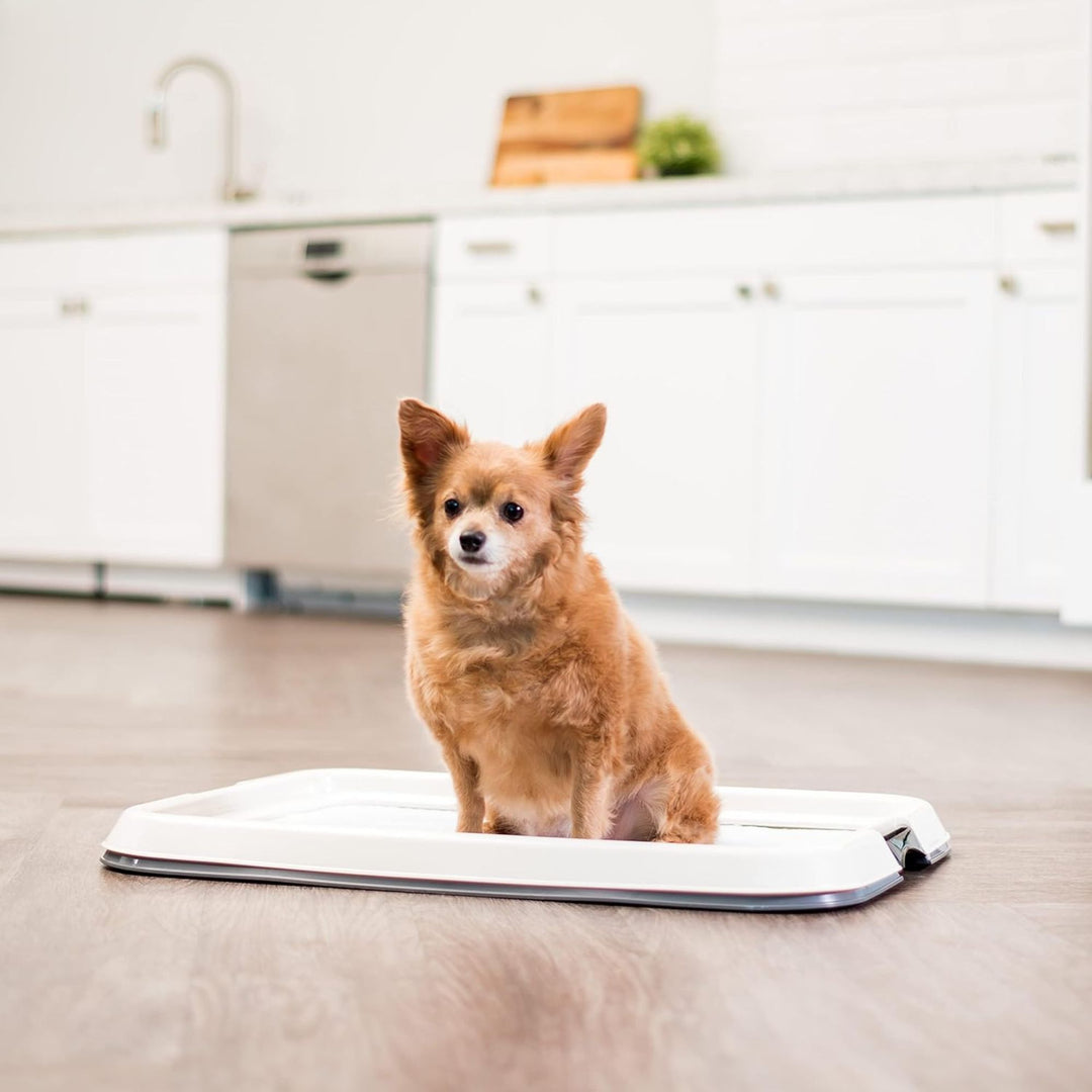 IRIS USA Leakproof Dog Pad Holder with Non-Skid Base, Latching Sides (Used)