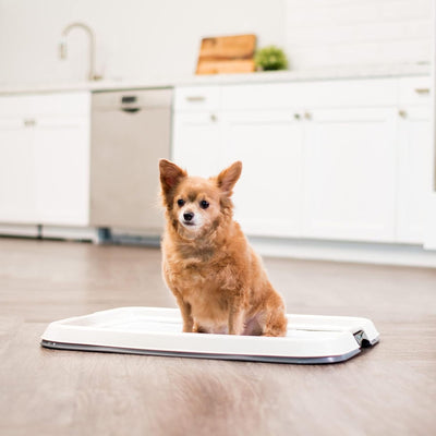 IRIS USA Leakproof Dog Pad Holder with Non-Skid Base, Latching Sides (Used) - VMInnovations