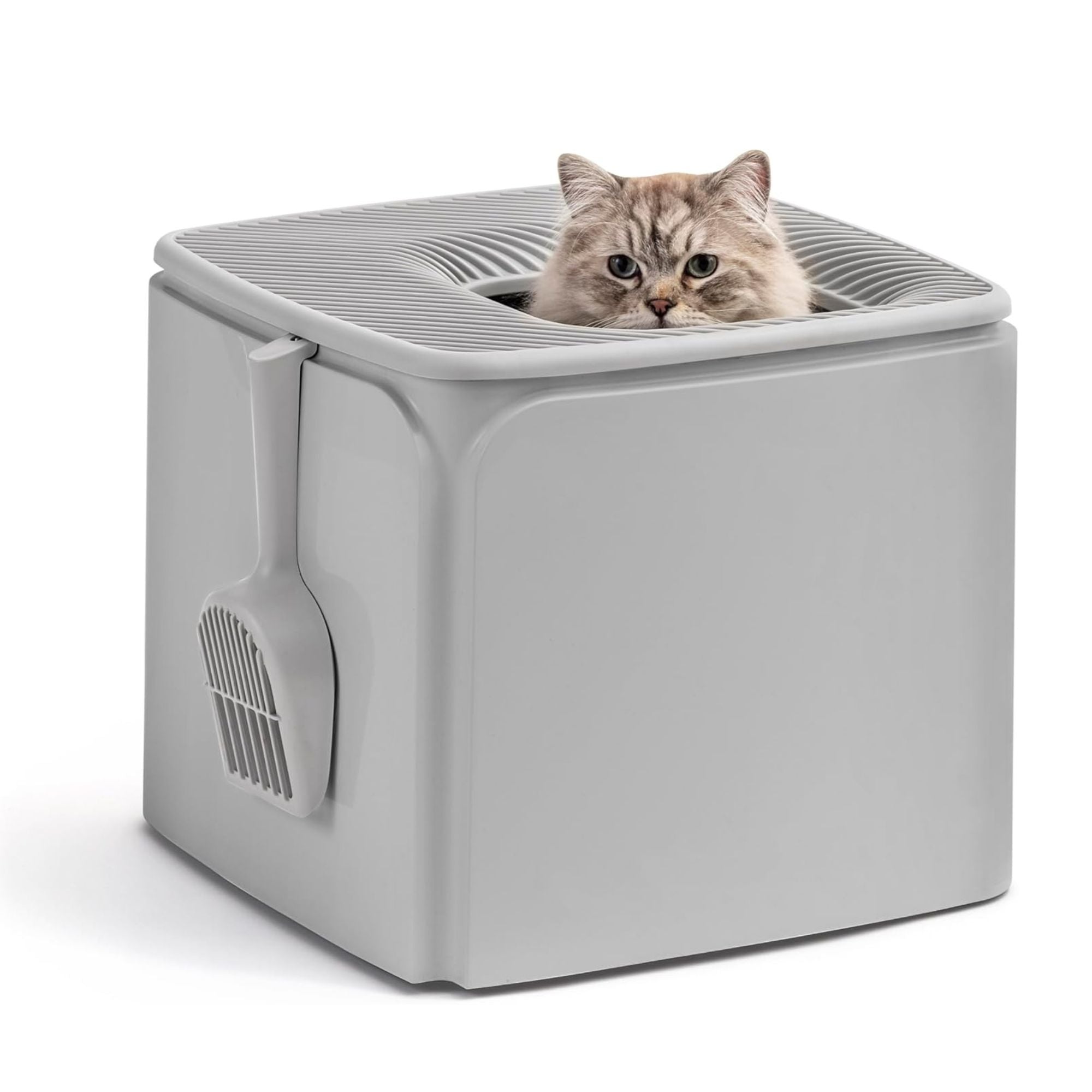 IRIS USA Premium Top Entry Cat Litter Box with Scoop and Enclosed Design, Gray