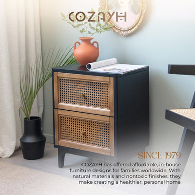 COZAYH Modern Farmhouse 2 Drawer Nightstand, Bedside End Table, Black, Set of 2