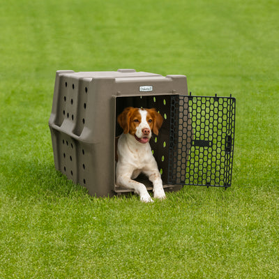 Dakota 283 Canine Rough and Tough Economy Kennel, Intermediate, Coyote Granite - VMInnovations