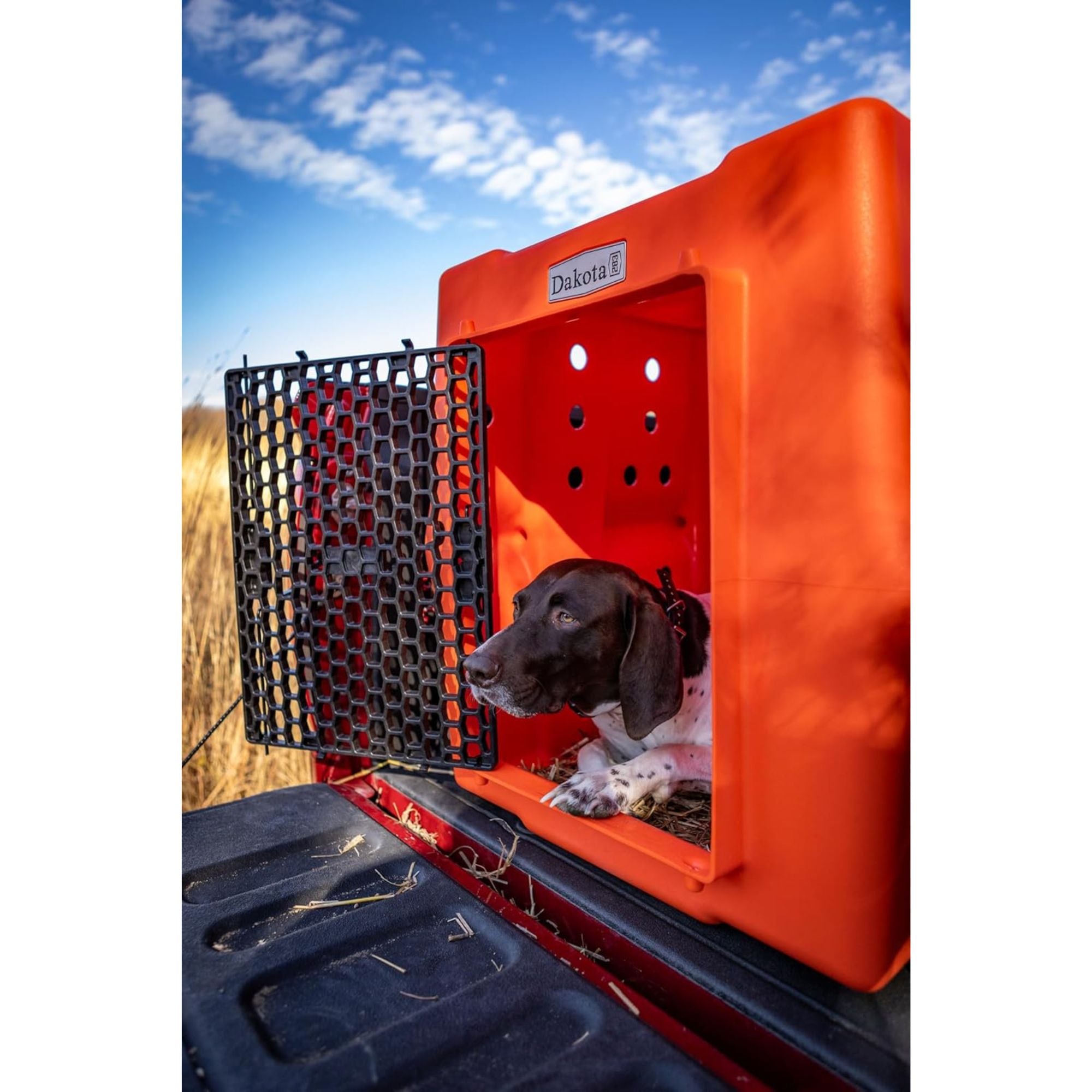 Dakota 283 Canine Rough and Tough Economy Kennel, Pet Crate, Large, Orange - VMInnovations