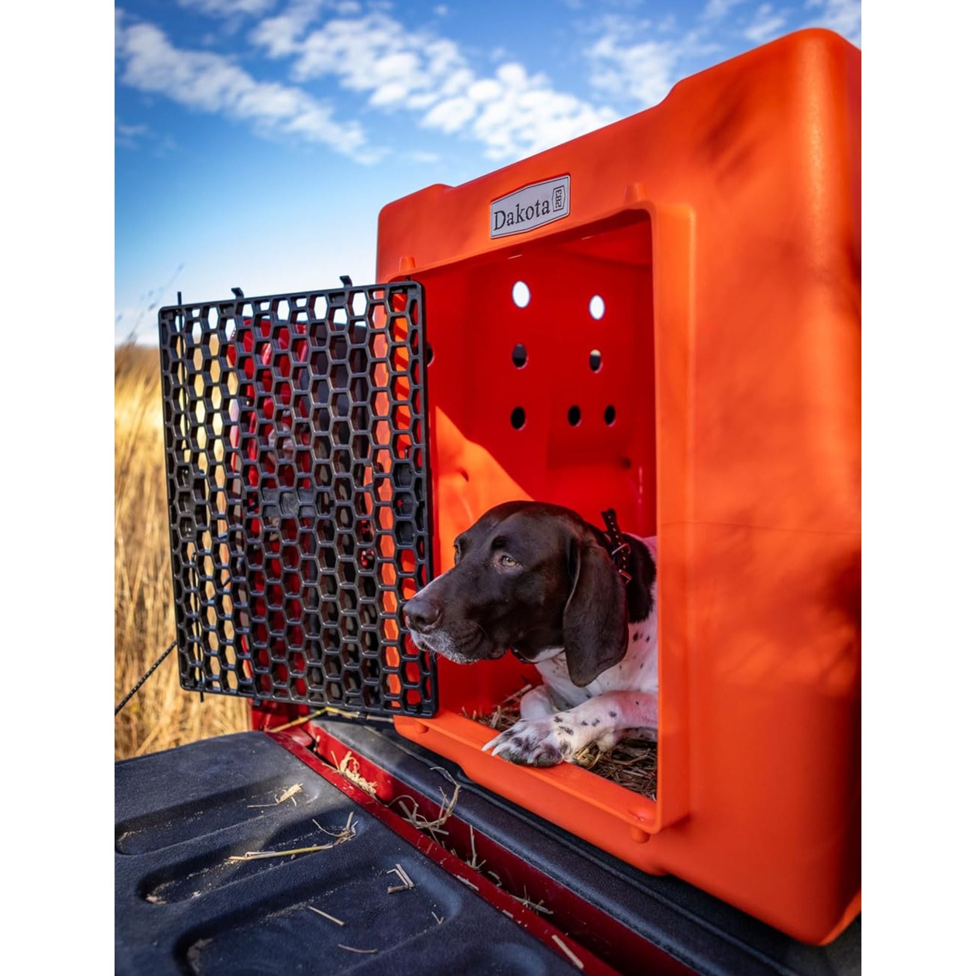 Dakota 283 Canine Rough & Tough Economy Kennel, Pet Crate, Large, Orange (Used) - VMInnovations